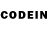 Псилоцибиновые грибы GOLDEN TEACHER jeffrx07