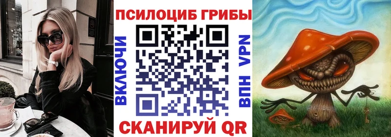 где купить наркоту  Тамбов  Галлюциногенные грибы MAGIC MUSHROOMS 
